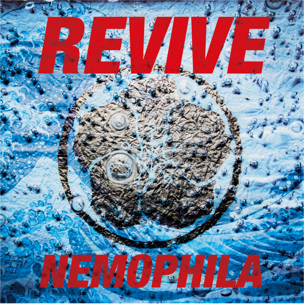 1st ALBUM「REVIVE」U.S. 盤 NEMOPHILA SHOPにて販売開始 